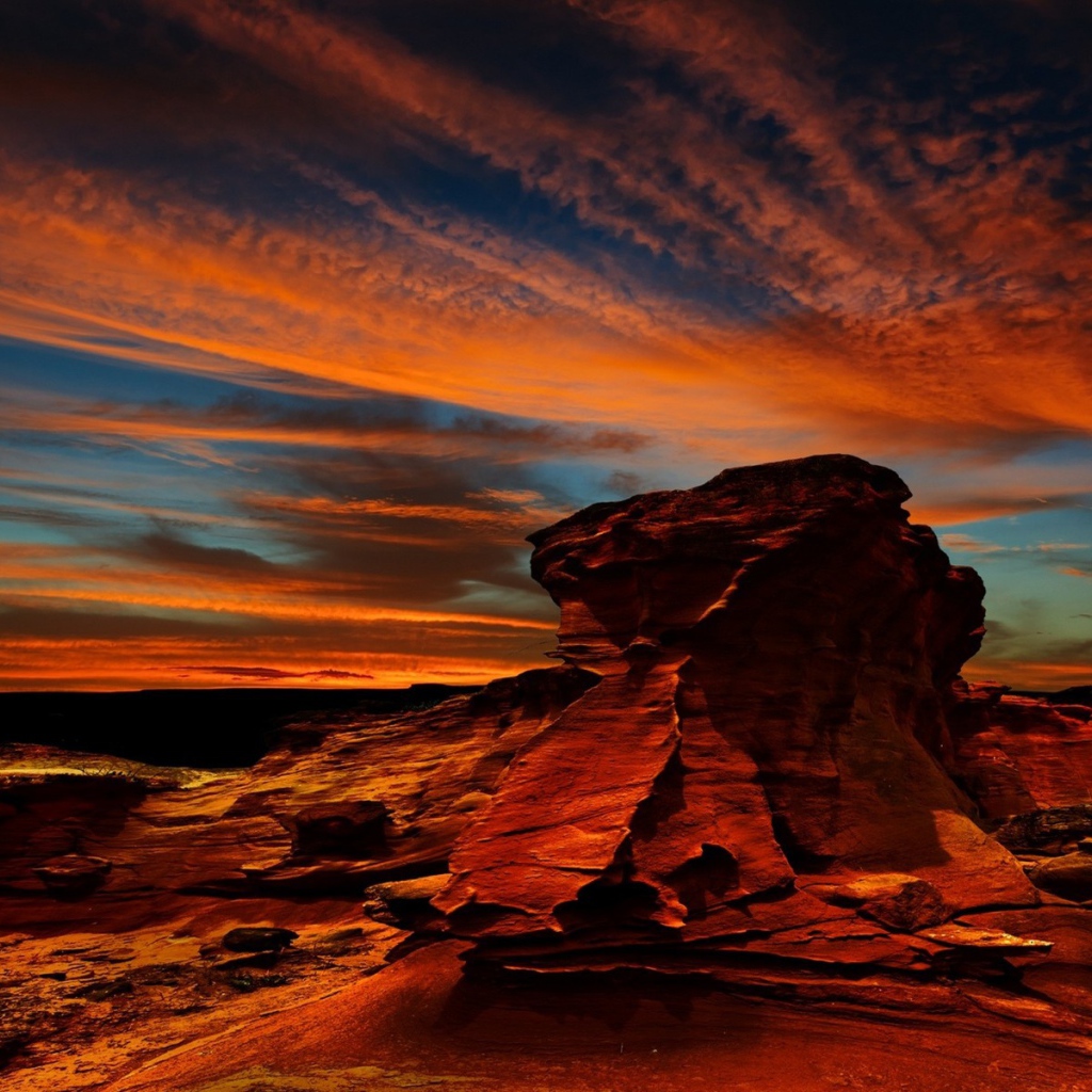 Орел над красной скалой в Чили