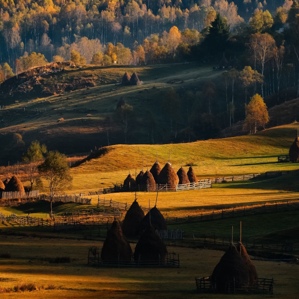 Сельский пейзаж в Румынии