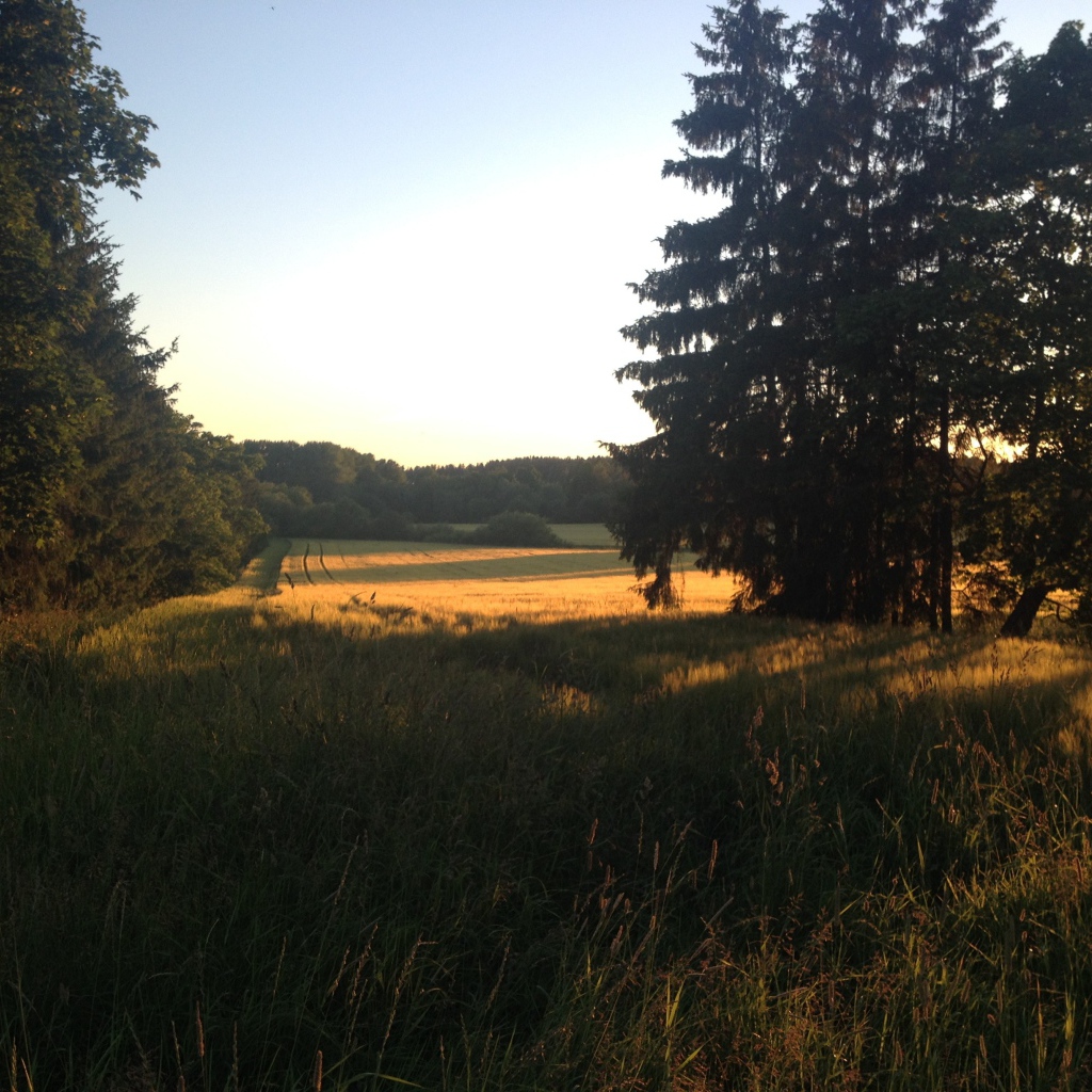 Летний пейзаж в Финляндии