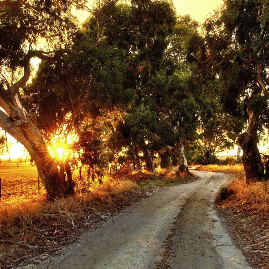 Rural road in Australia