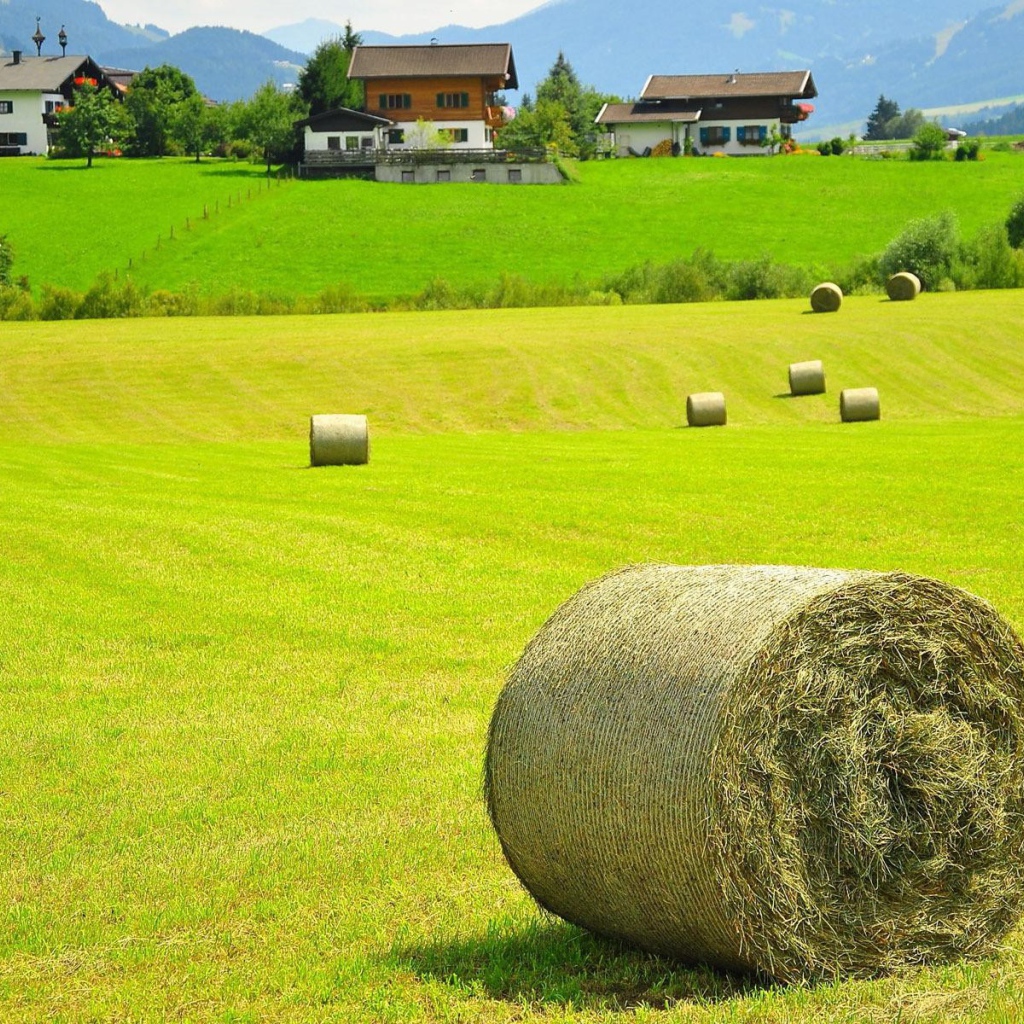 Тюки сена на поле, Австрия