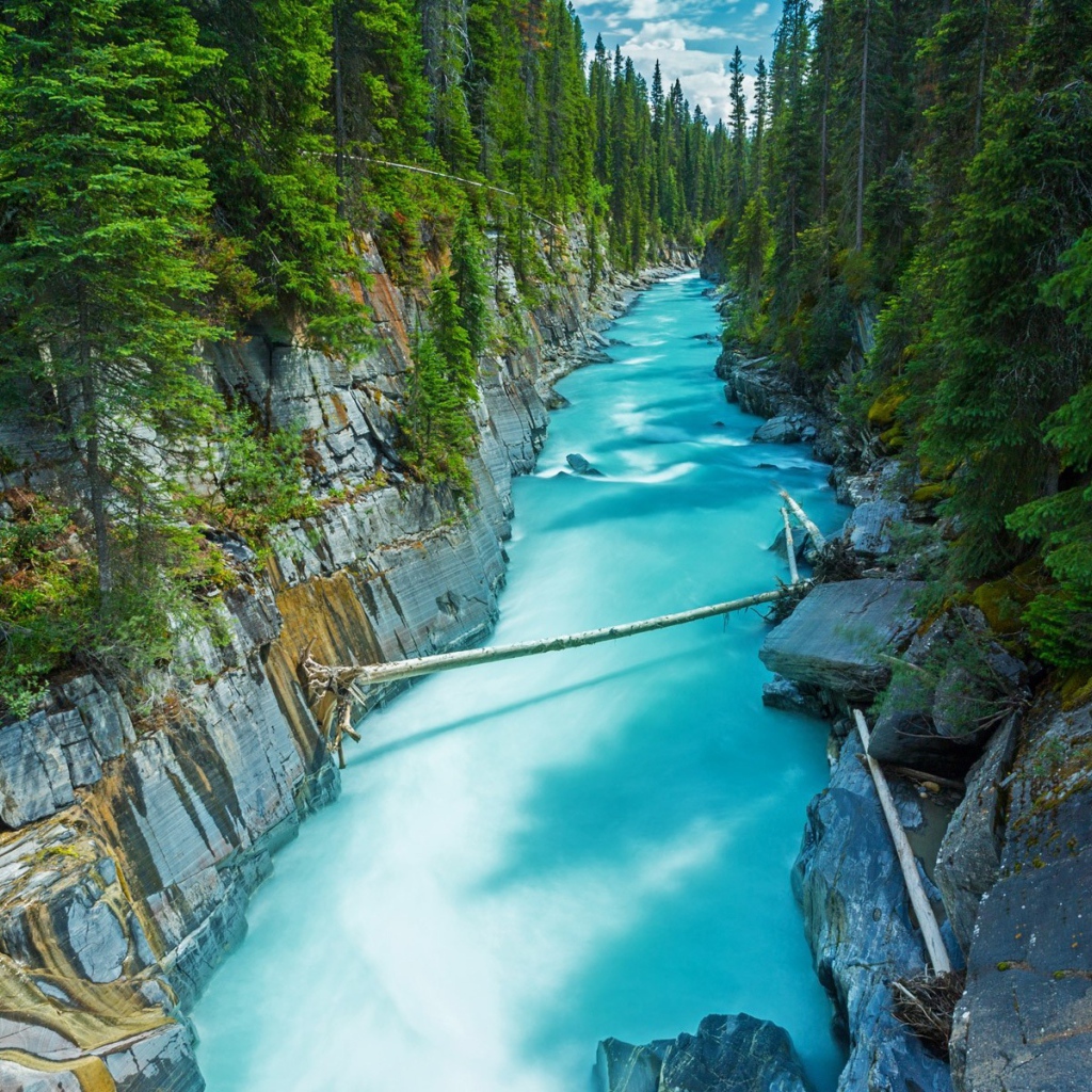 Голубая река среди леса в Канаде