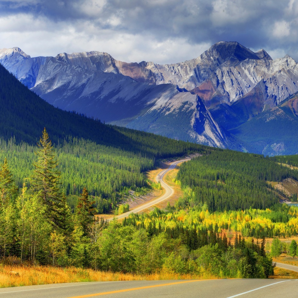 Шоссе среди горного леса в Канаде