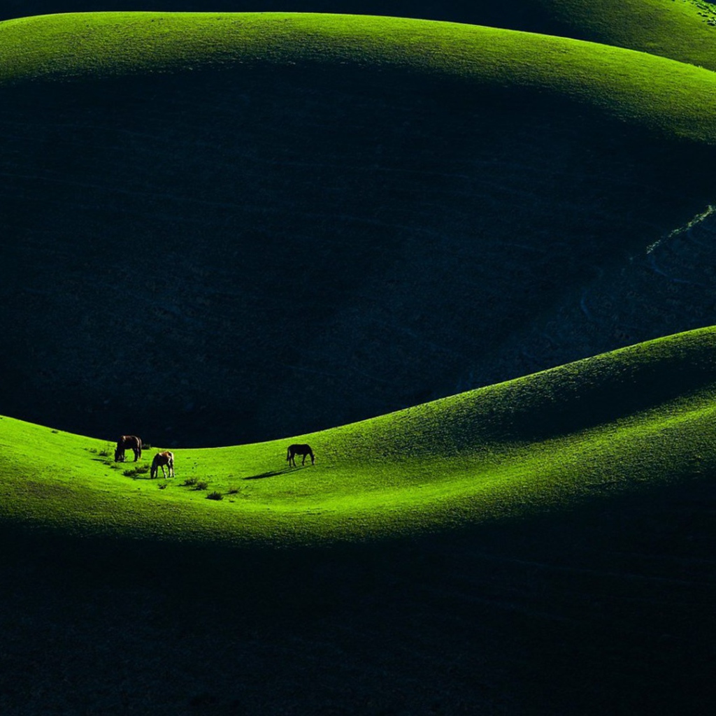 Горное пастбище в Китае