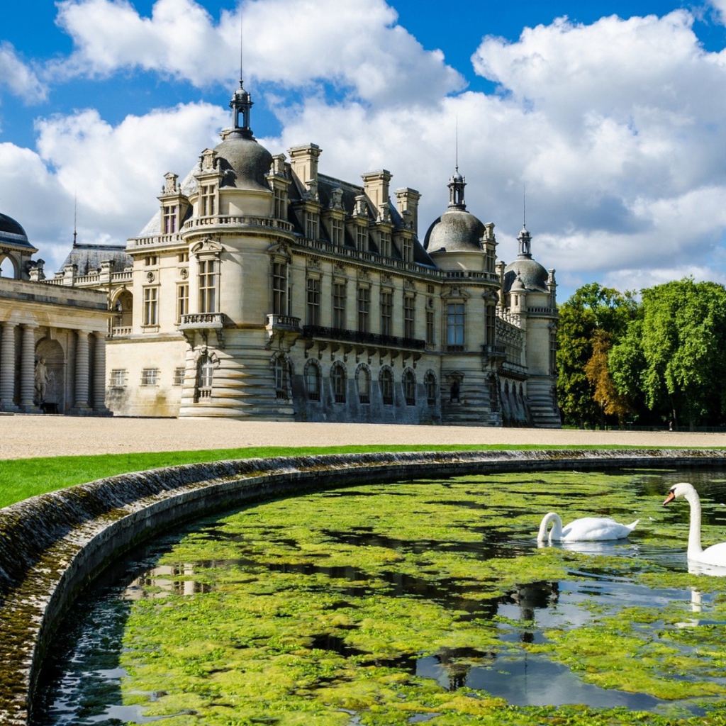 Лебеди в пруду у замка во Франции