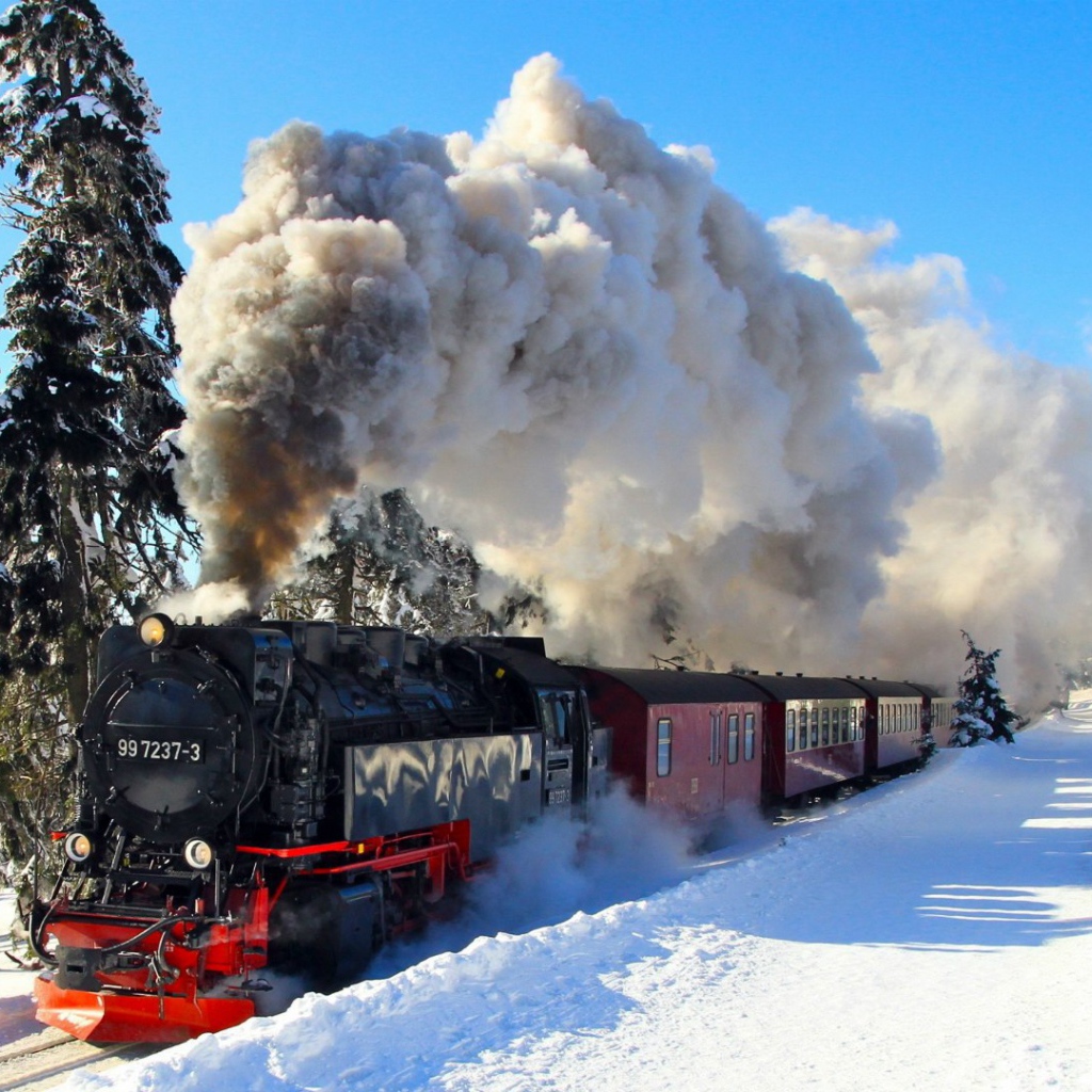 Паровой поезд в Гарц, национальный парк в Германии.