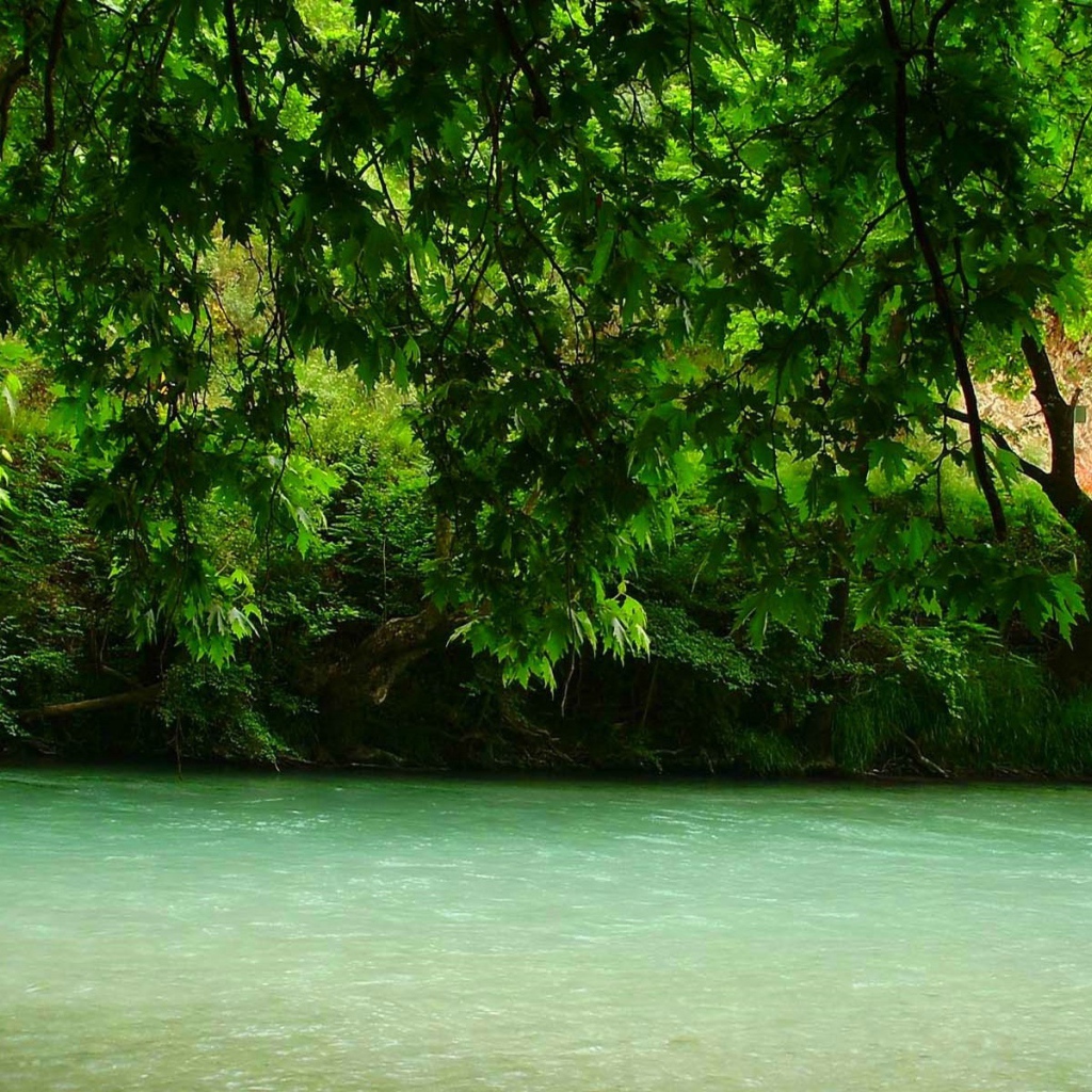 Зелень над рекой, Греция