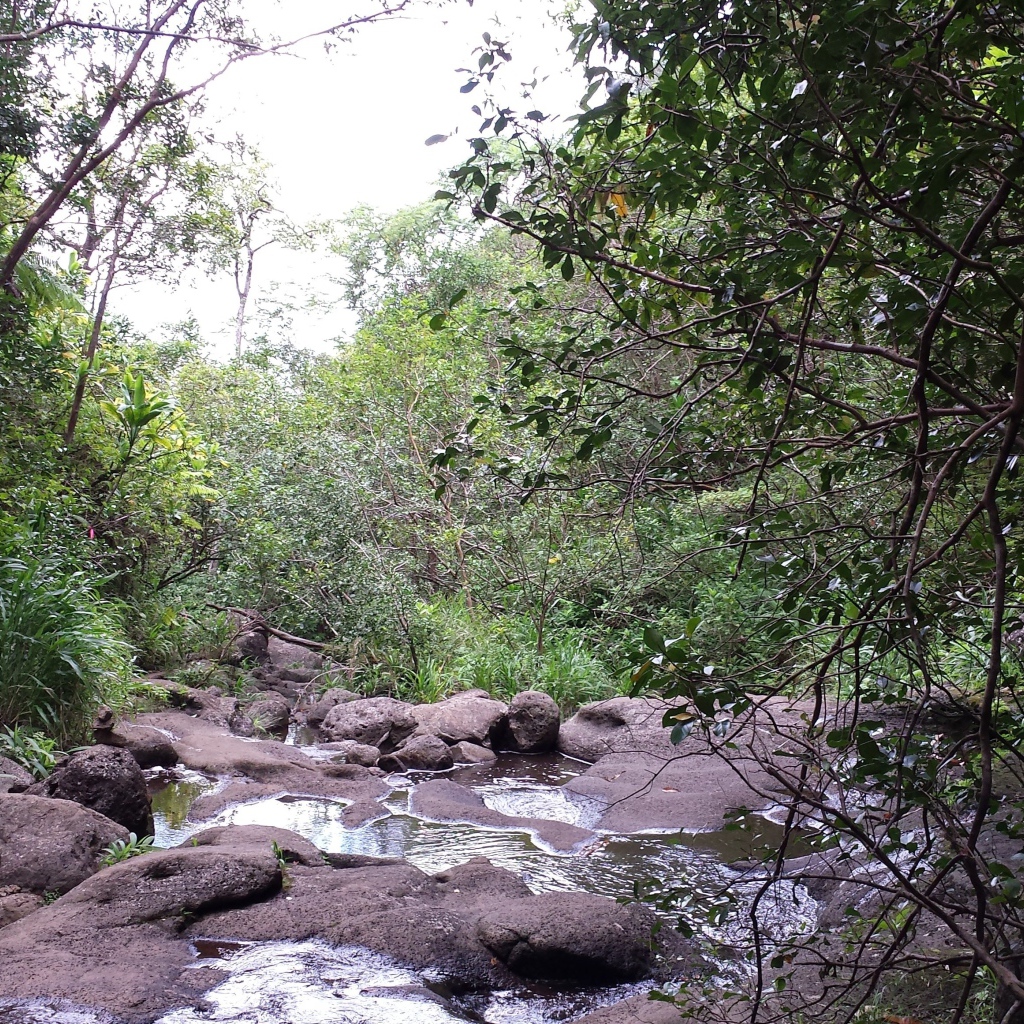Река в Ka‘Au Crater, Гавайи