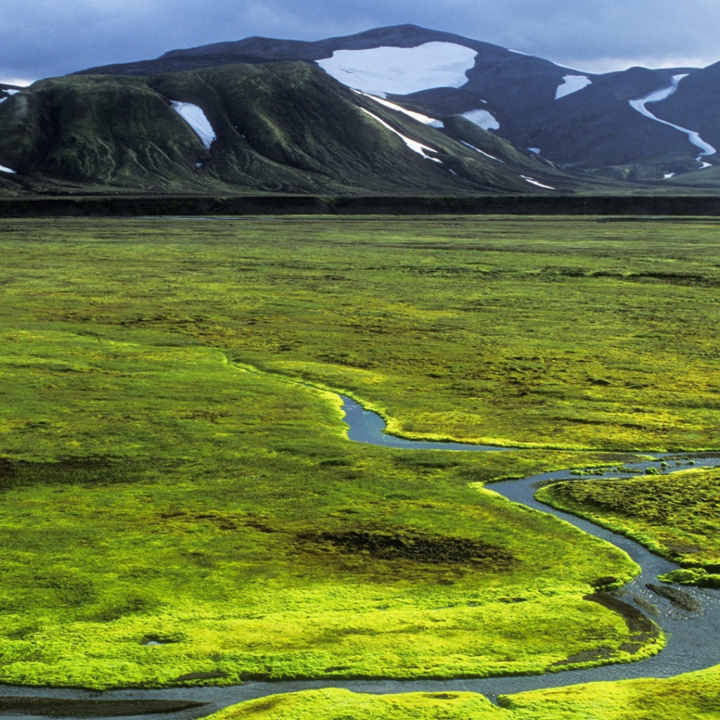 Зеленая равнина в Исландии