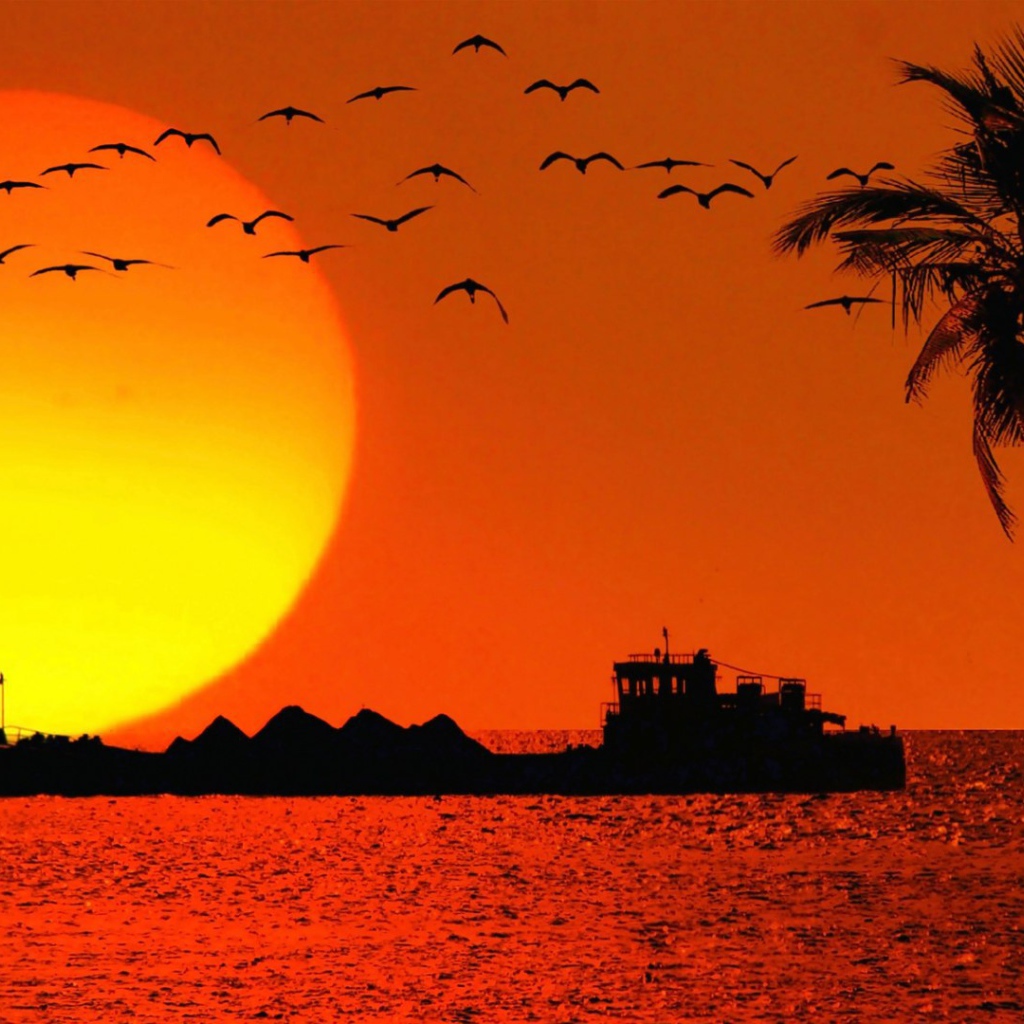 Вечером в Гоа, Индия