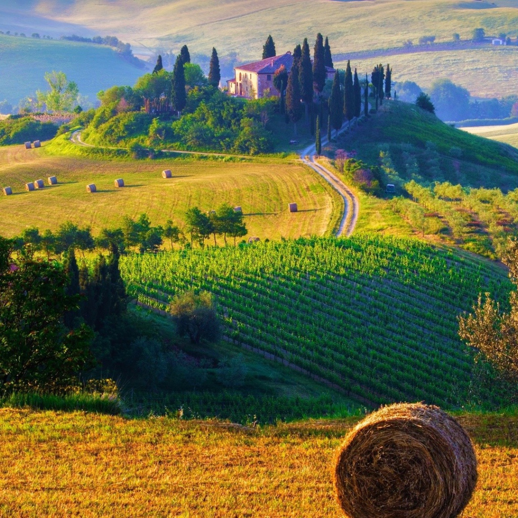 Фермерские поля в Италии