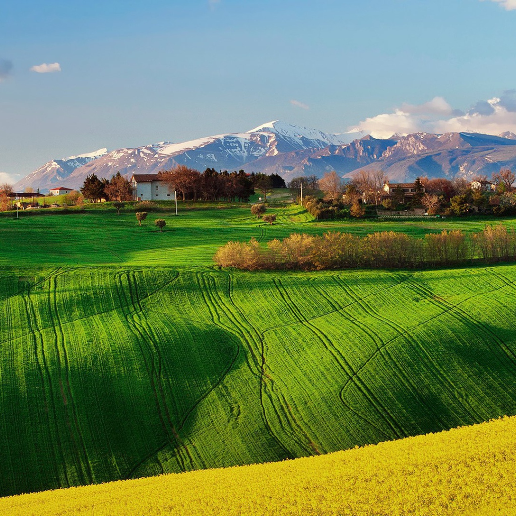 Green field in Italy