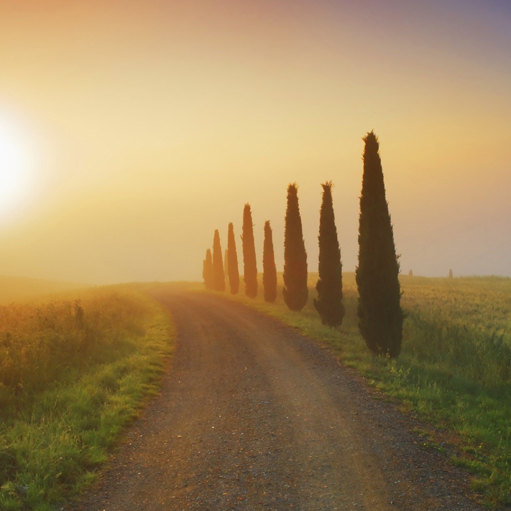 Утро в Тоскане, Италия