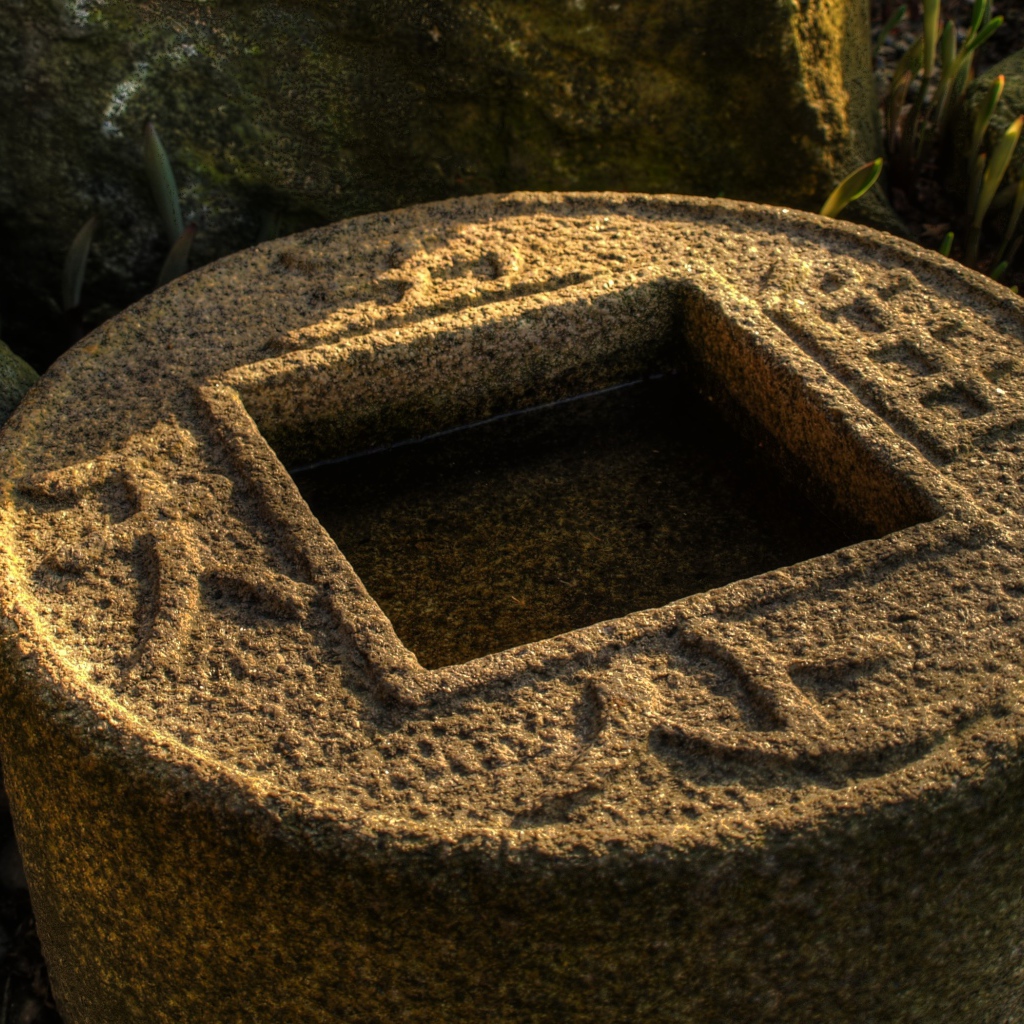 Водоем в японском саду