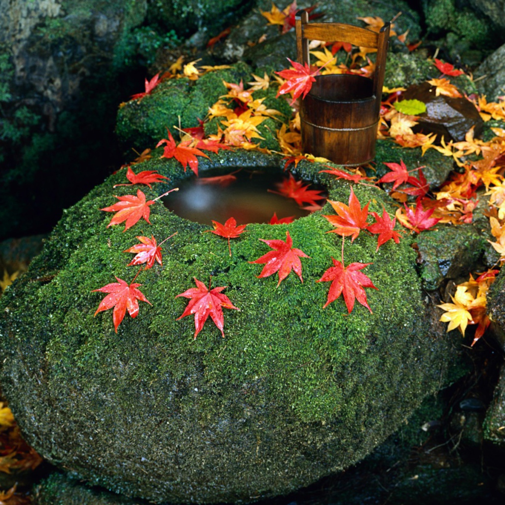 Колодец в камне, Япония