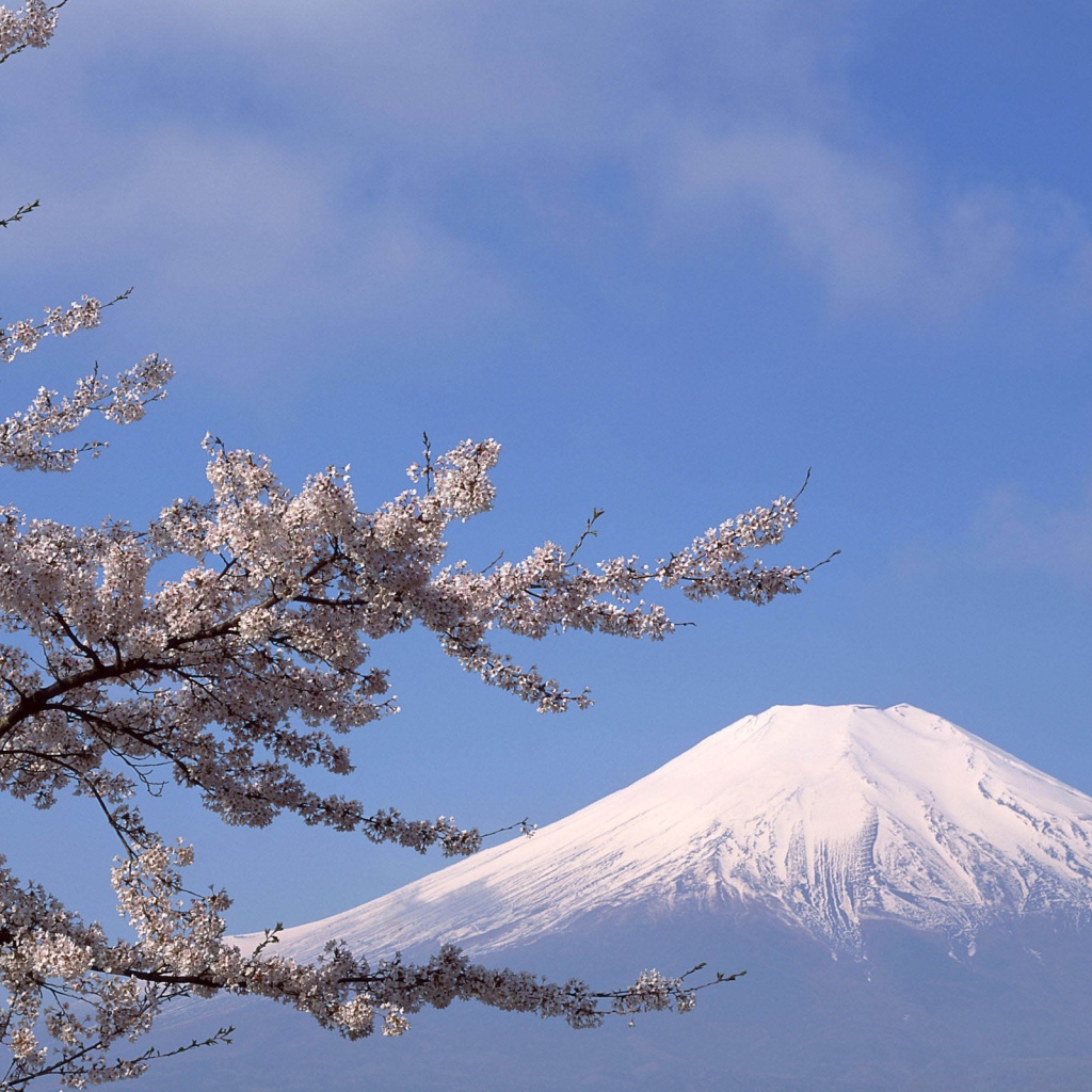 Белая вершина горы Фудзияма