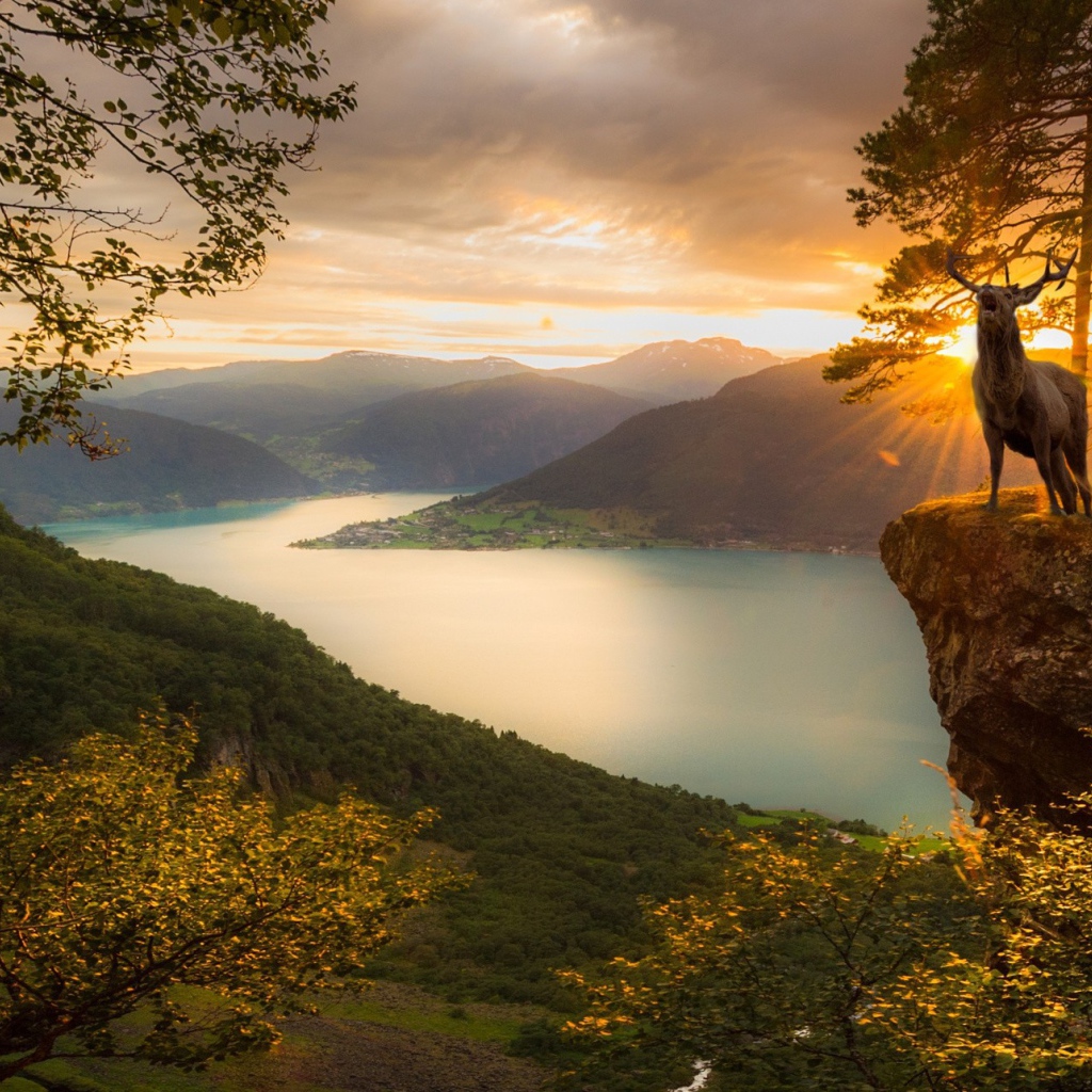 Олень на фоне заката в Норвегии