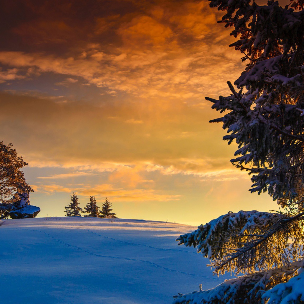 Оранжевые облака на закате в Норвегии