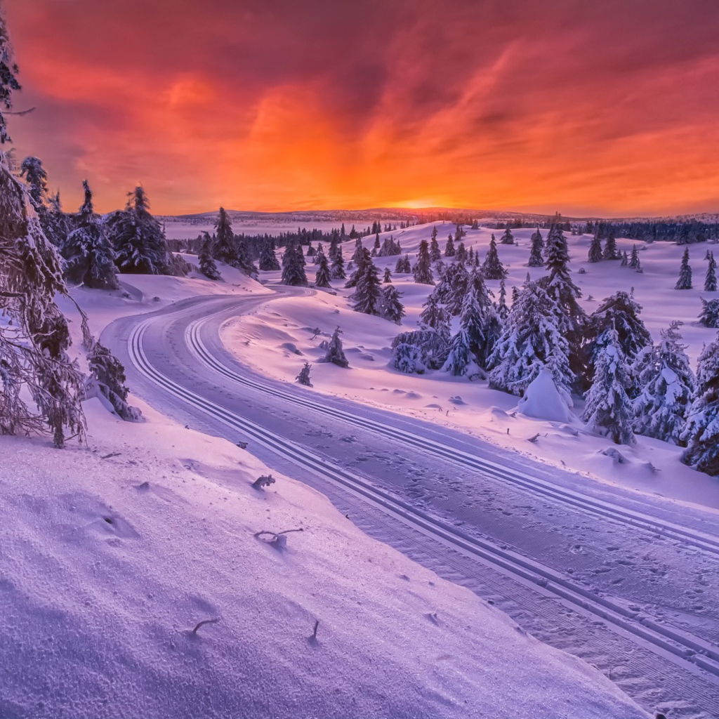 Зимняя дорога в Норвегии