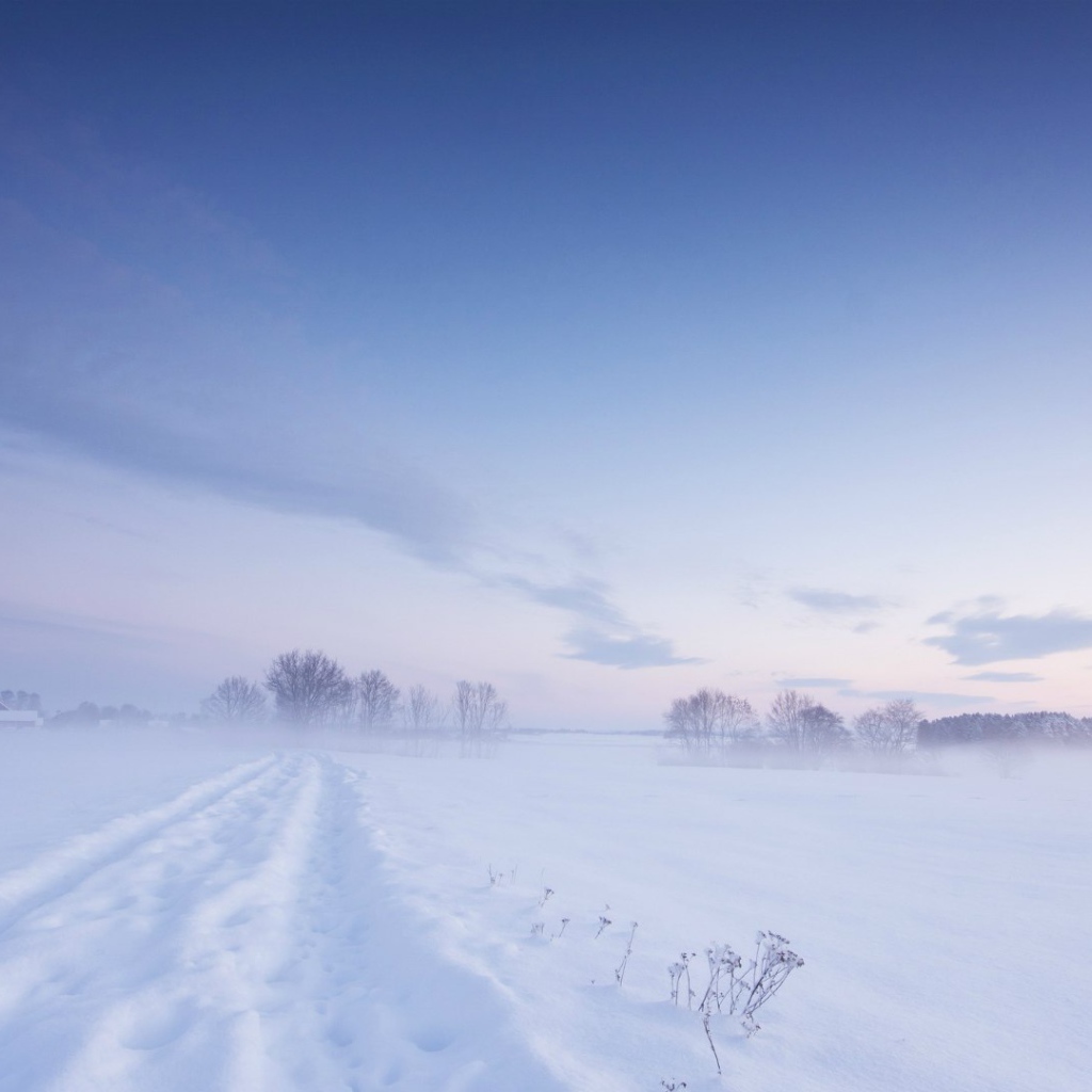 Белая зима в Швеции