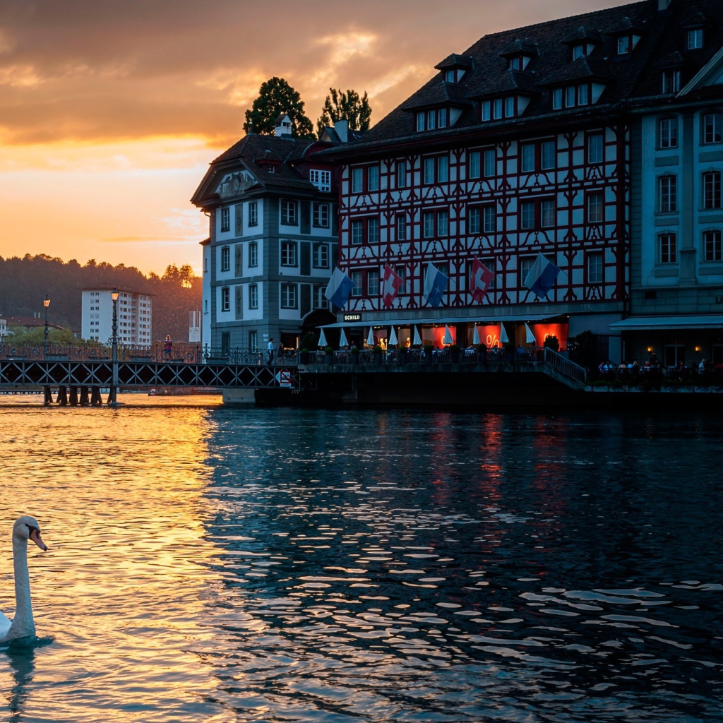 Лебедь на озере, Швейцария