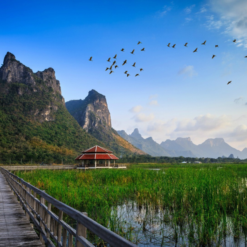 Заболоченная местность в Таиланде