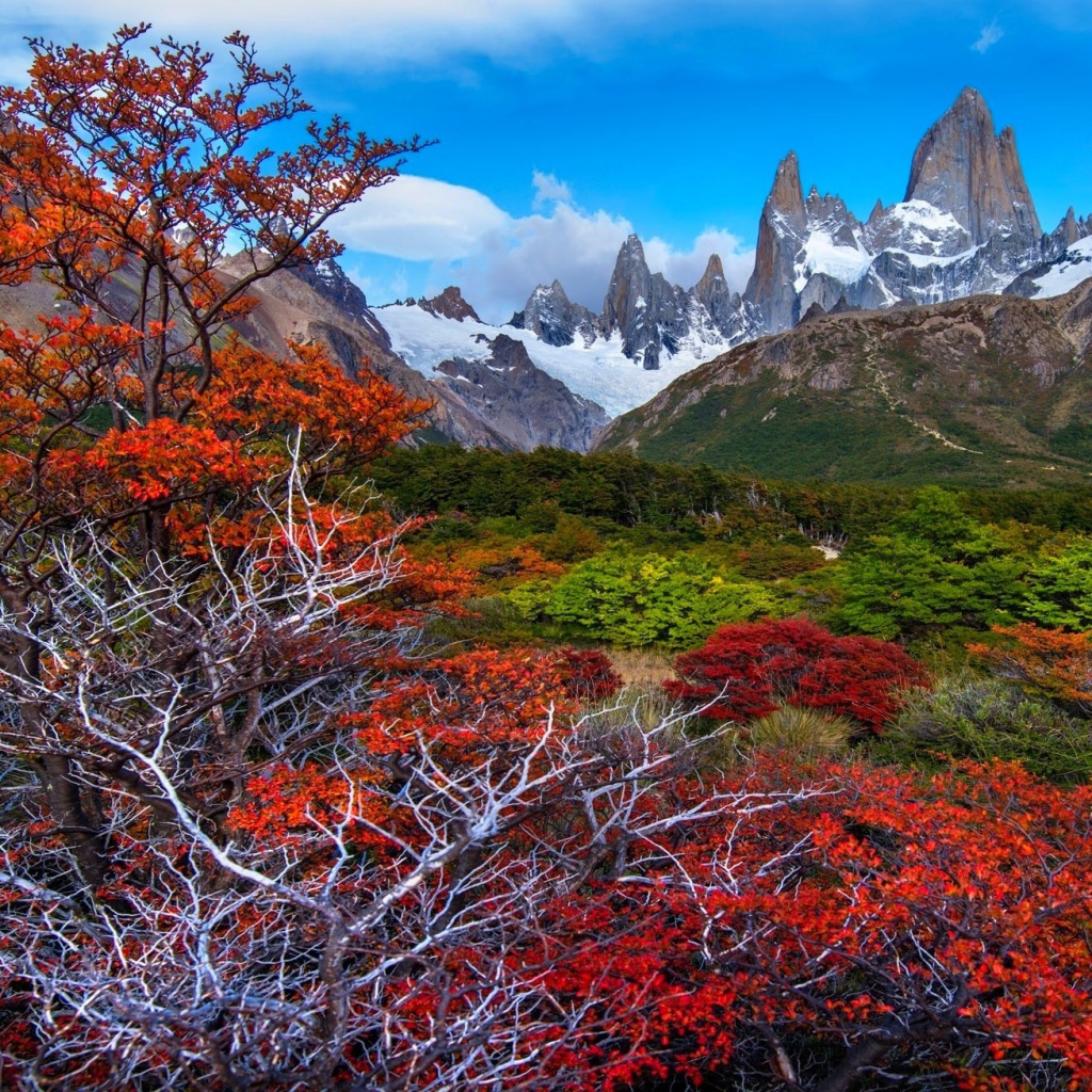Красочная местность Патагония