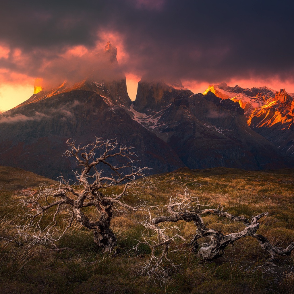 Гористая местность Патагония