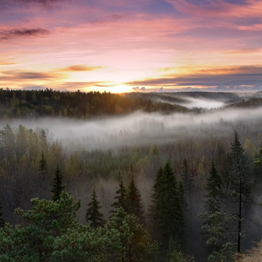 Национальный парк Нууксио Финляндия