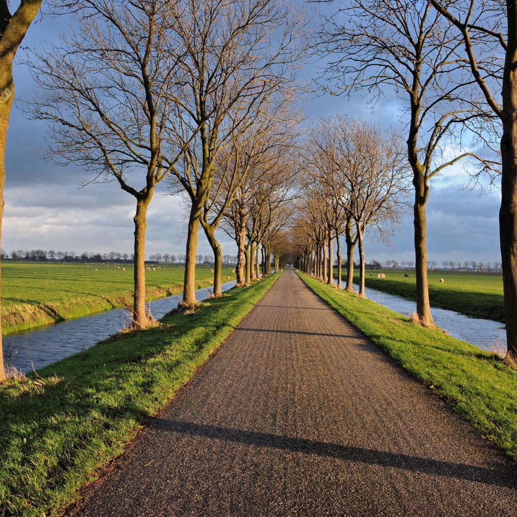 Дорога и аллея между двух каналов