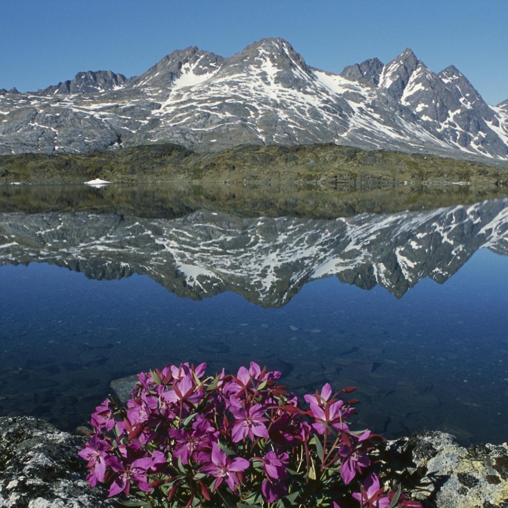 Суровая природа Гренландии