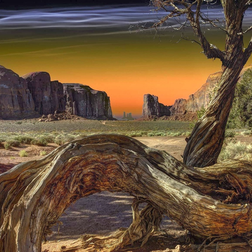 Сухое дерево в Долине монументов, США