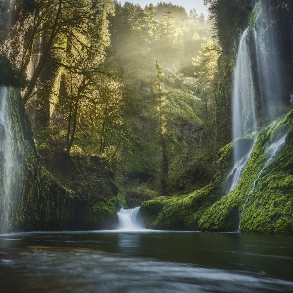 Водопады среди зелени в Орегоне