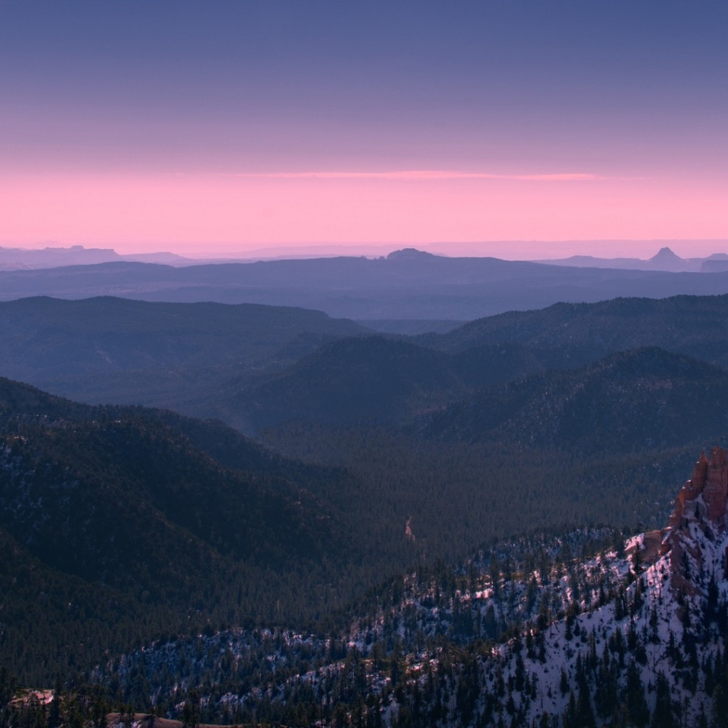 Покрытый лесом каньон Брюса в Юте