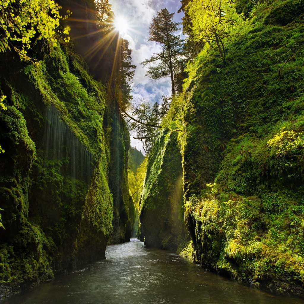 Река между отвесными скалами в Орегоне