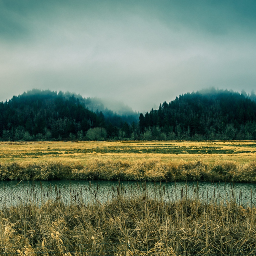 Река в болотистой местности, Орегон
