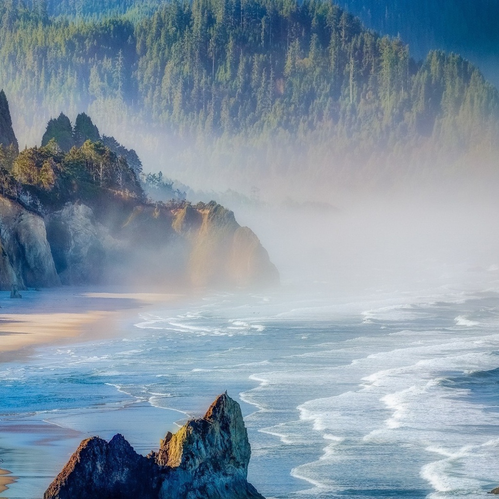 Лесистые горы на берегу в Орегоне