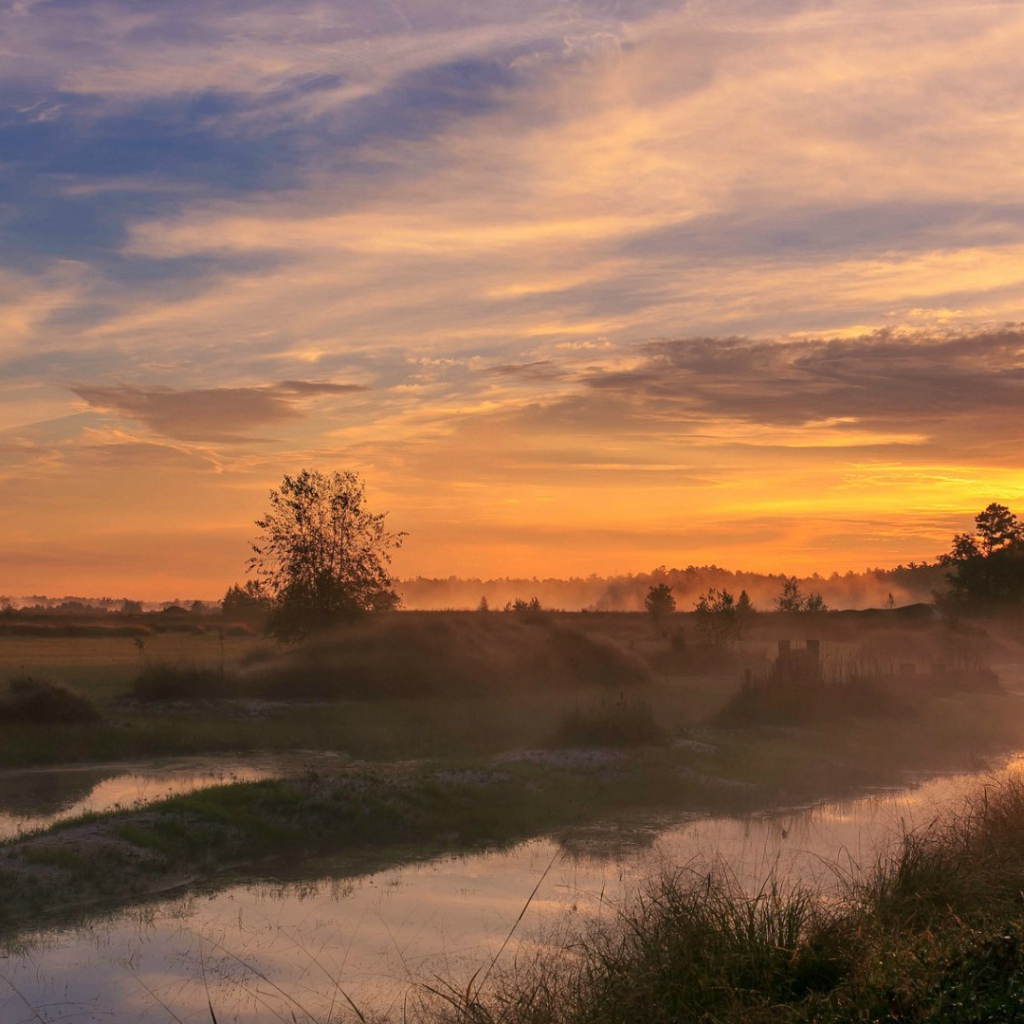 Woodland Park, Нью-Джерси, США