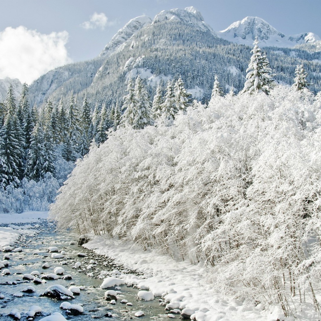Йеллоустонский Национальный Парк , США