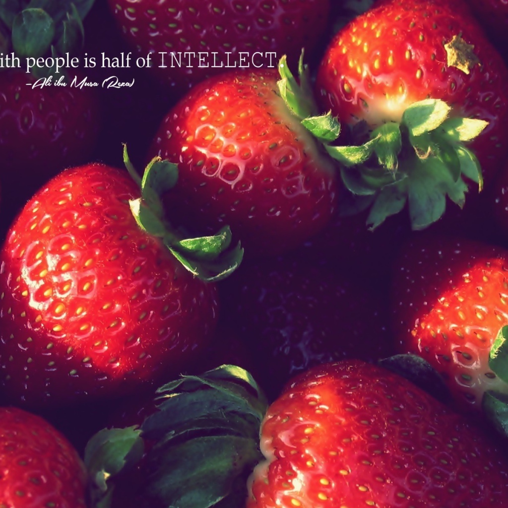 Дружелюбие, это часть интеллекта