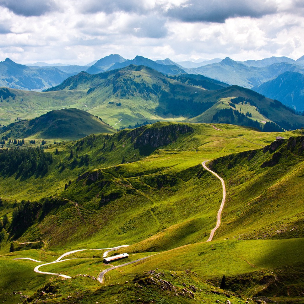 Зеленые склоны гор Карпат