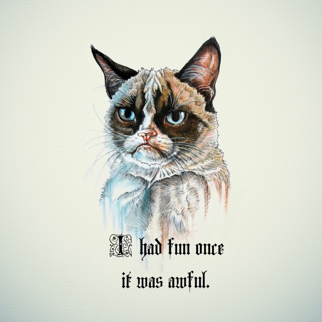 Я не люблю веселье