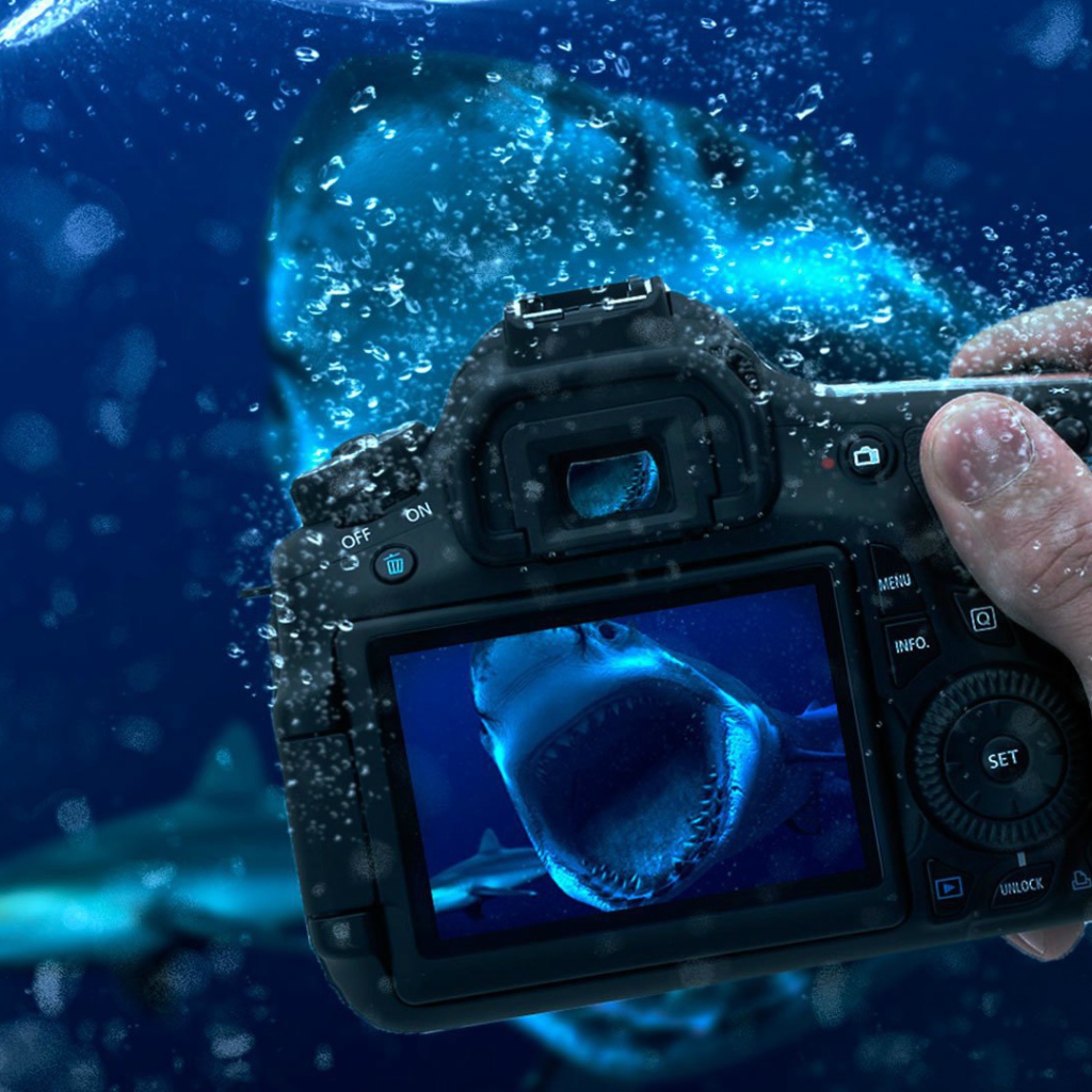 Занятие подводной фотографией