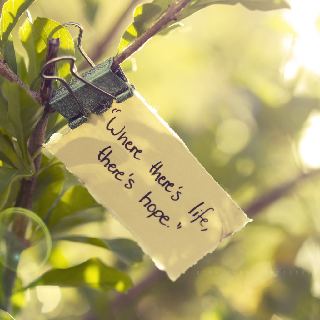 Где есть жизнь там есть и надежда