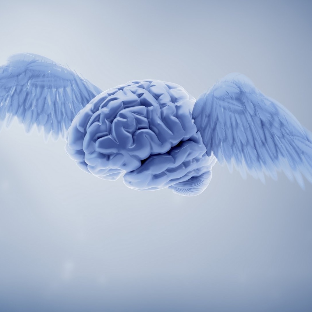 Мозг с крыльями на сером фоне 3д графика