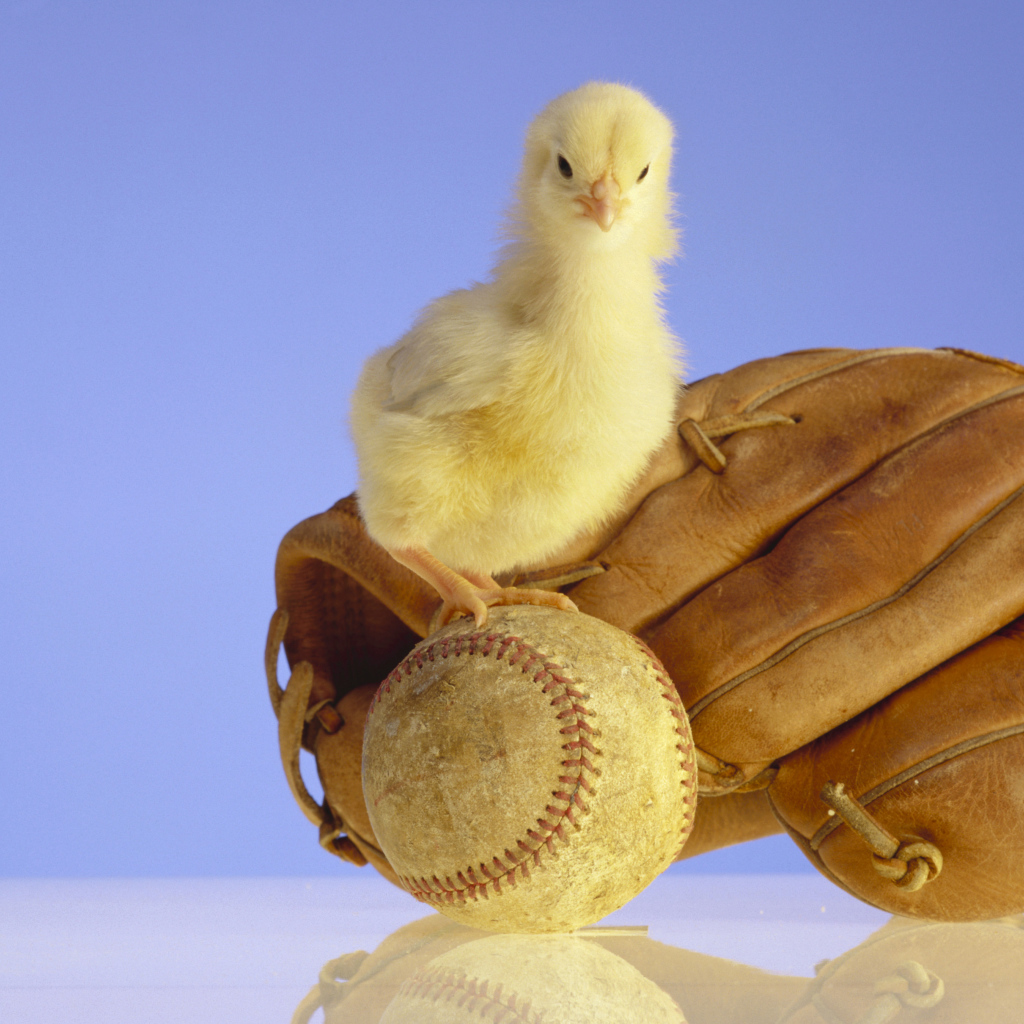 Маленький желтый цыпленок с бейсбольной перчаткой и мячом