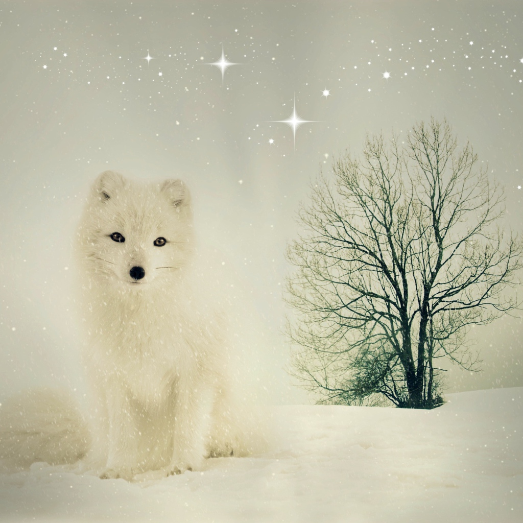 Белый песец сидит на снегу у сухого дерева