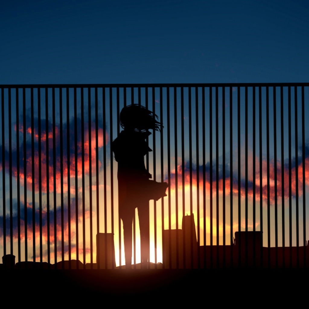 Аниме девушка на крыше смотрит на закат  