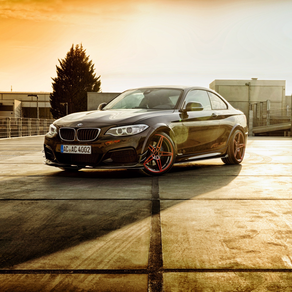 Стильный черный немецкий автомобиль BMW F22