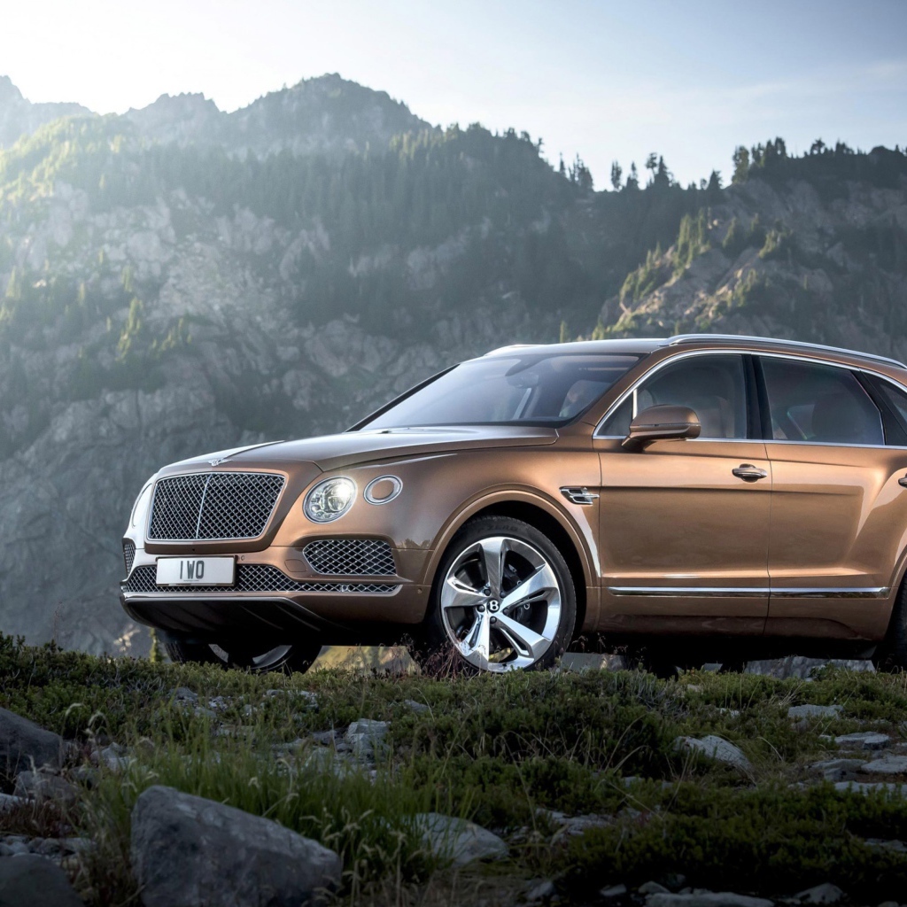 Коричневый кроссовер  Bentley Bentayga, 2017 на фоне гор